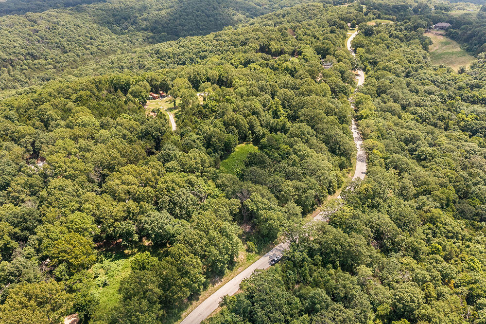 817 Hanging Branch Ridge Property Photo 6