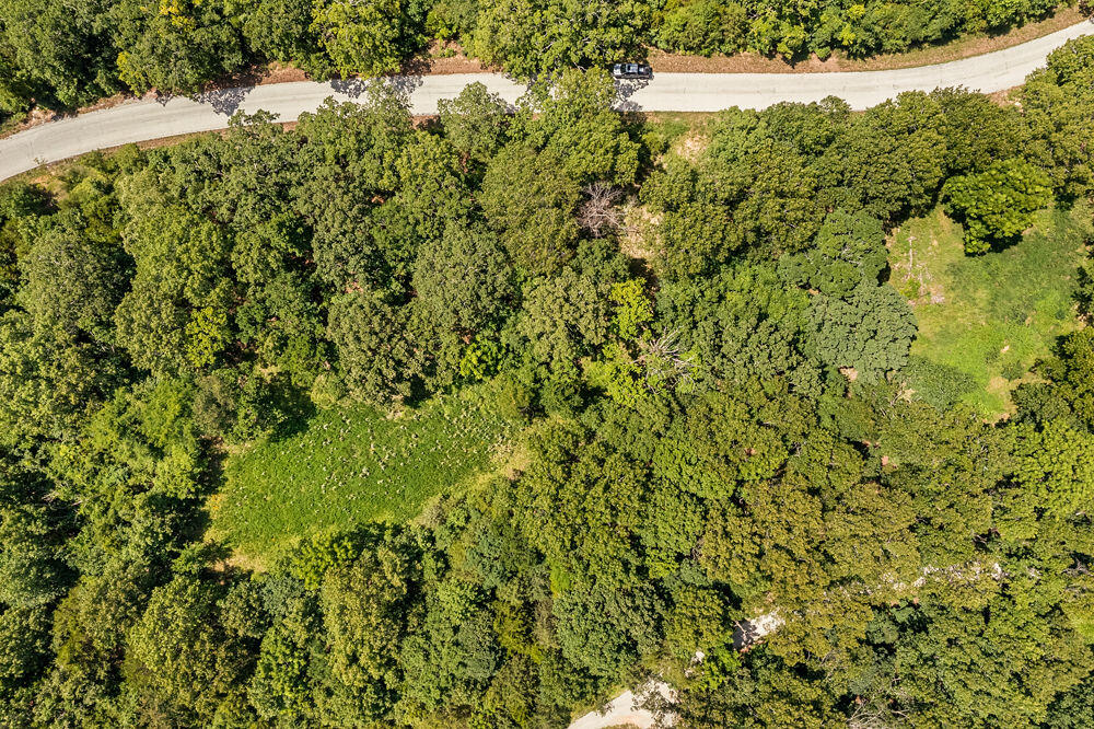 817 Hanging Branch Ridge Property Photo 10