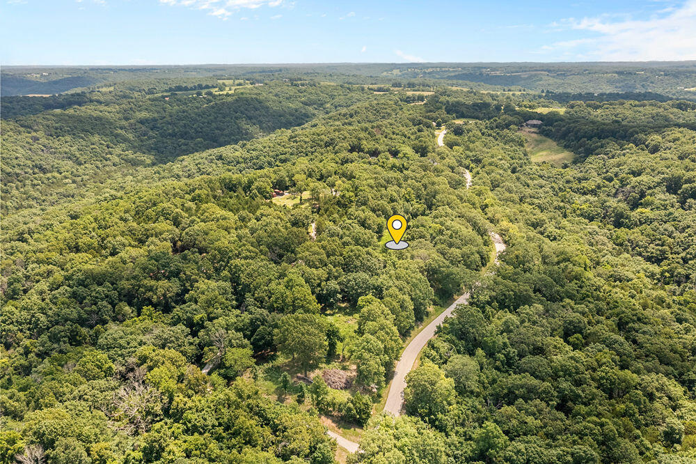 817 Hanging Branch Ridge Property Photo 11