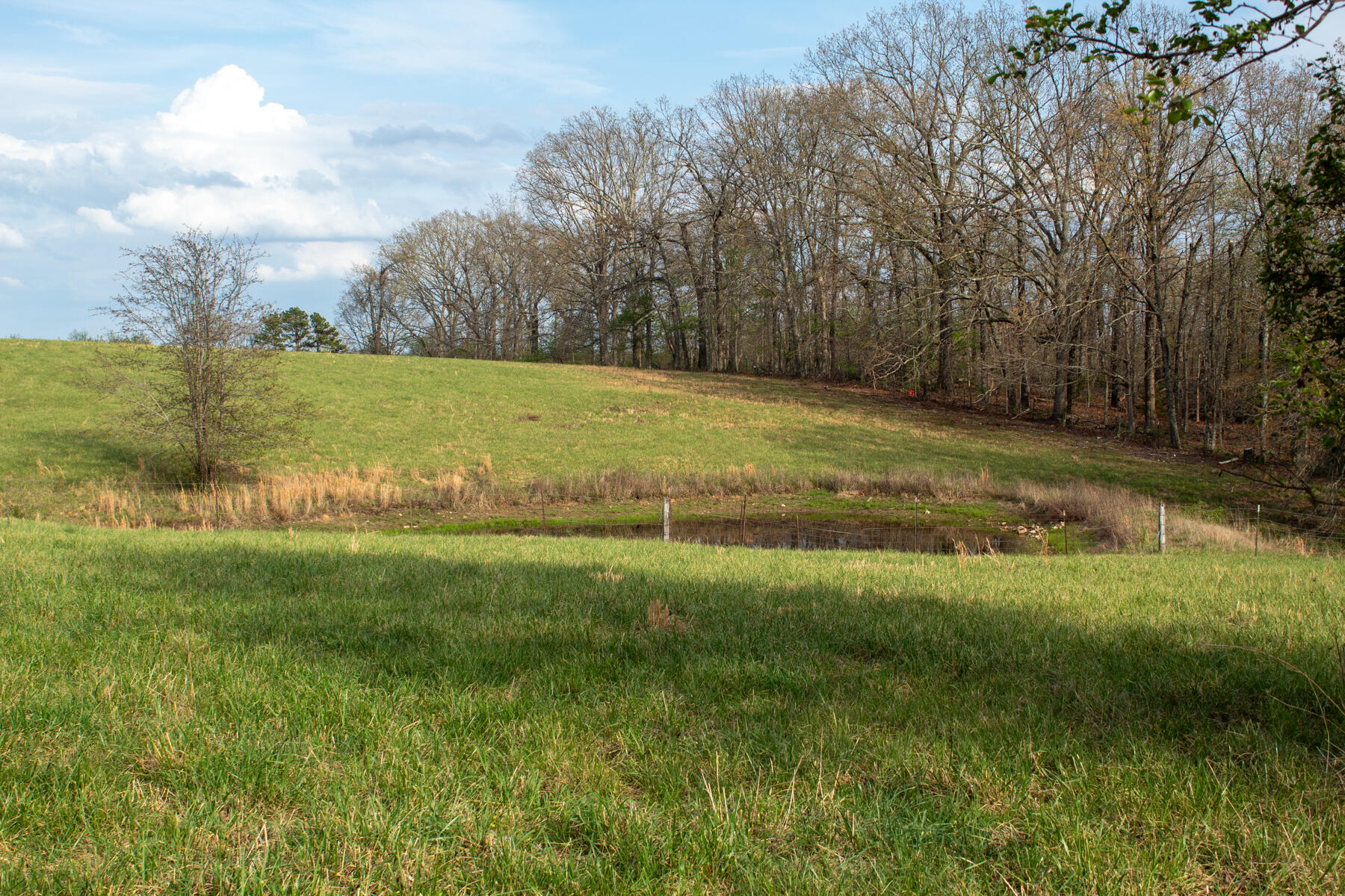 984 County Road 3450 Property Photo 63