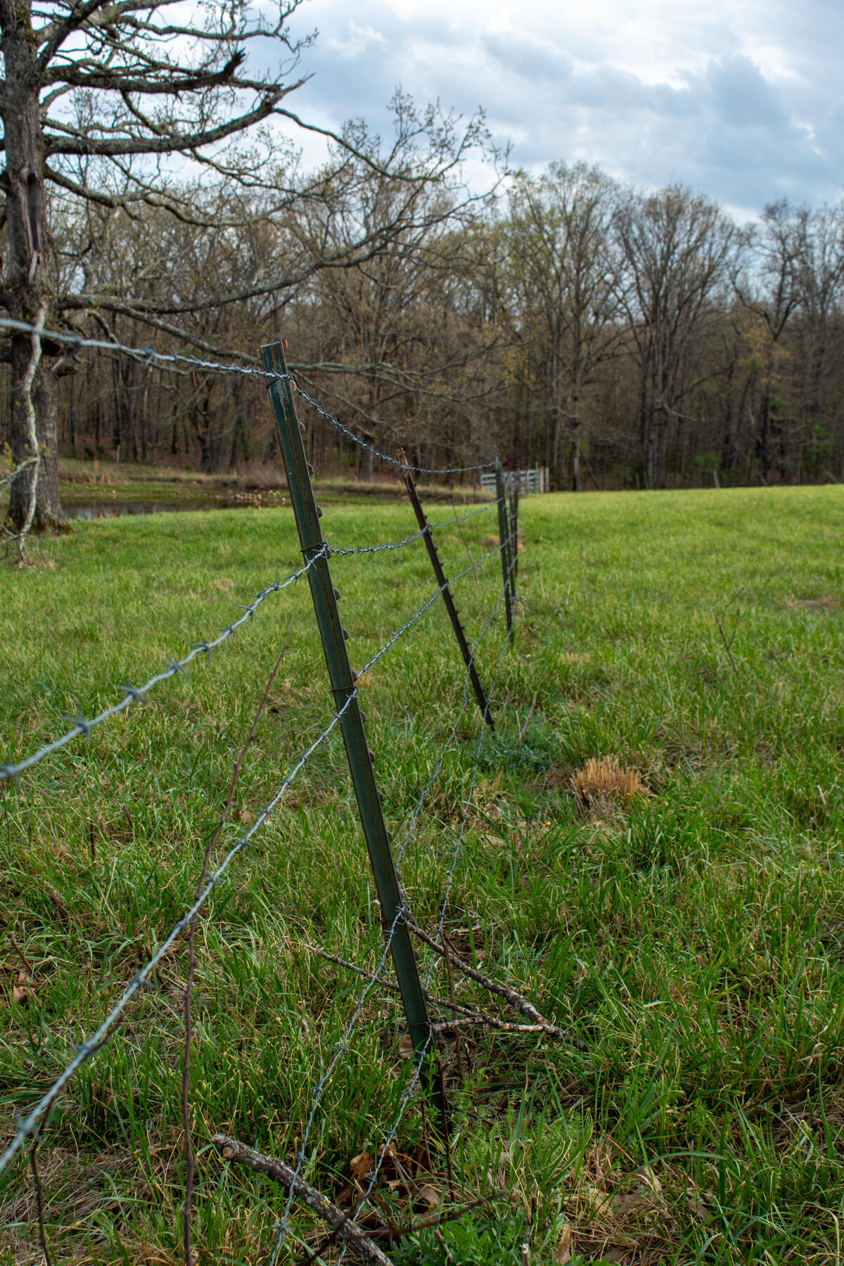 984 County Road 3450 Property Photo 65