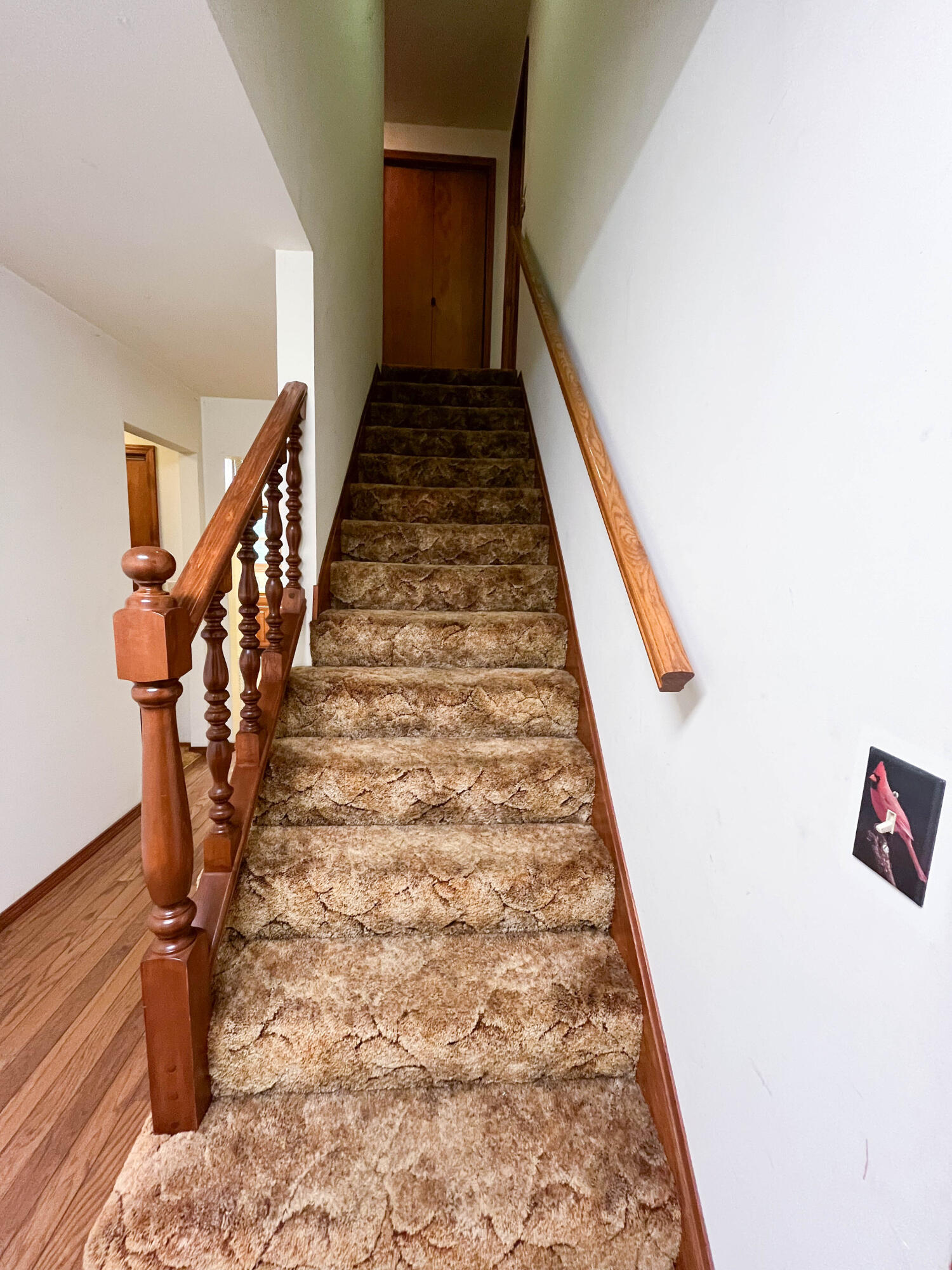 7704 County Road 2770 Property Photo 26