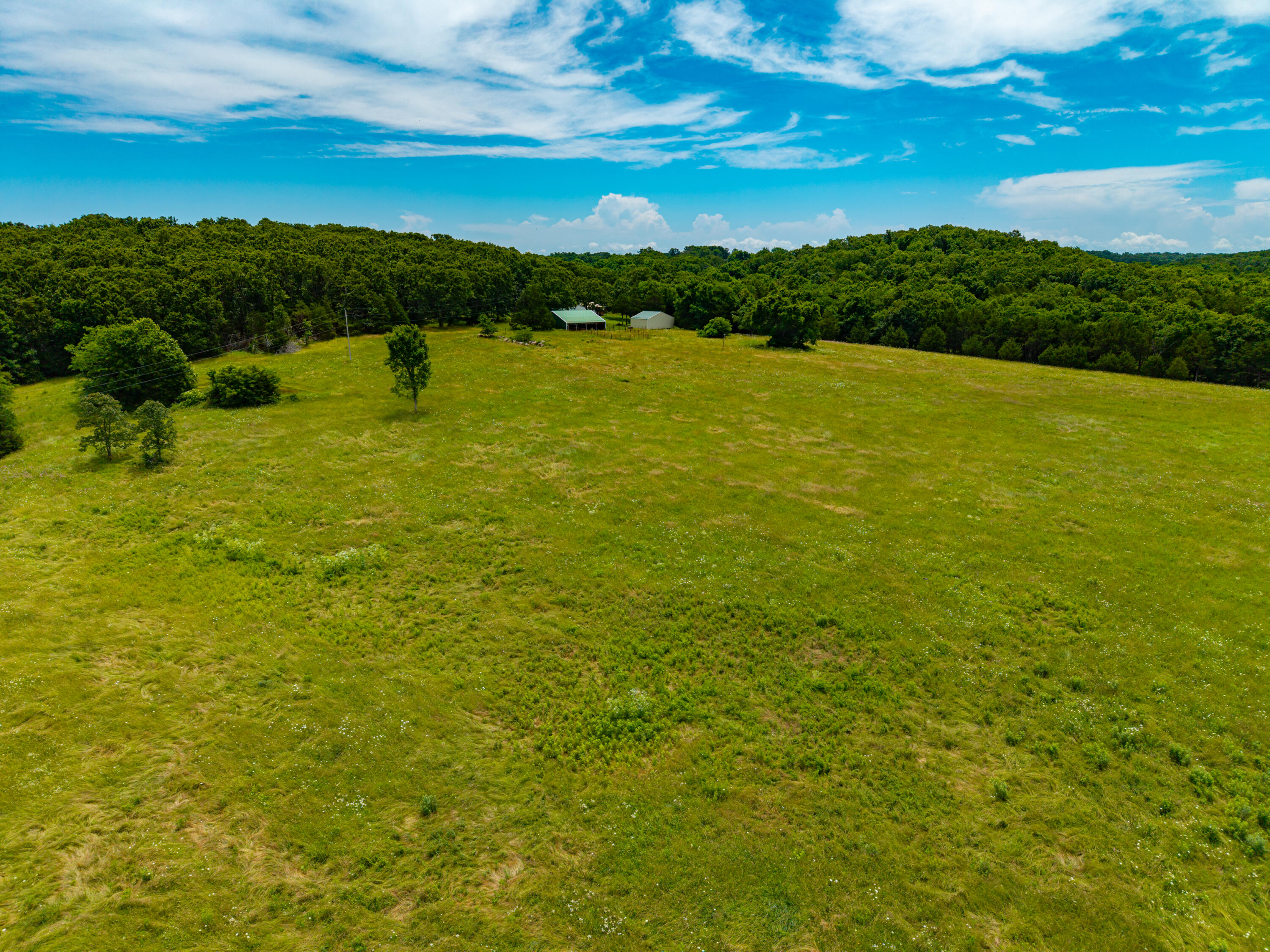 3675 Persimmon Road Property Photo 2
