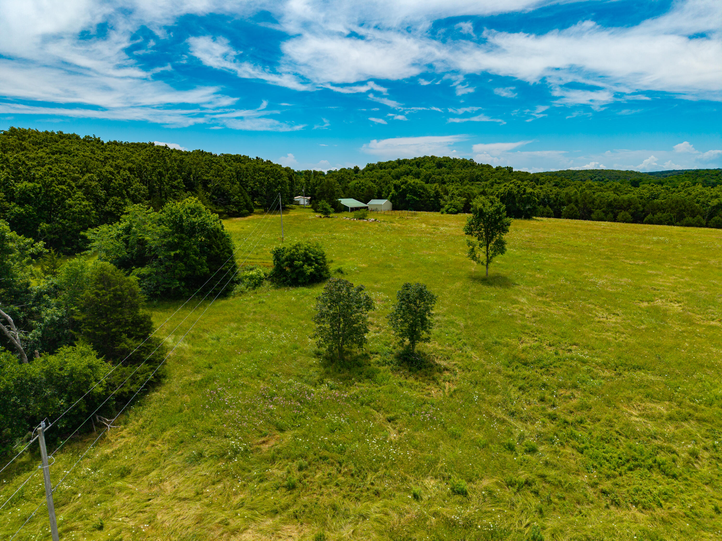 3675 Persimmon Road Property Photo 3