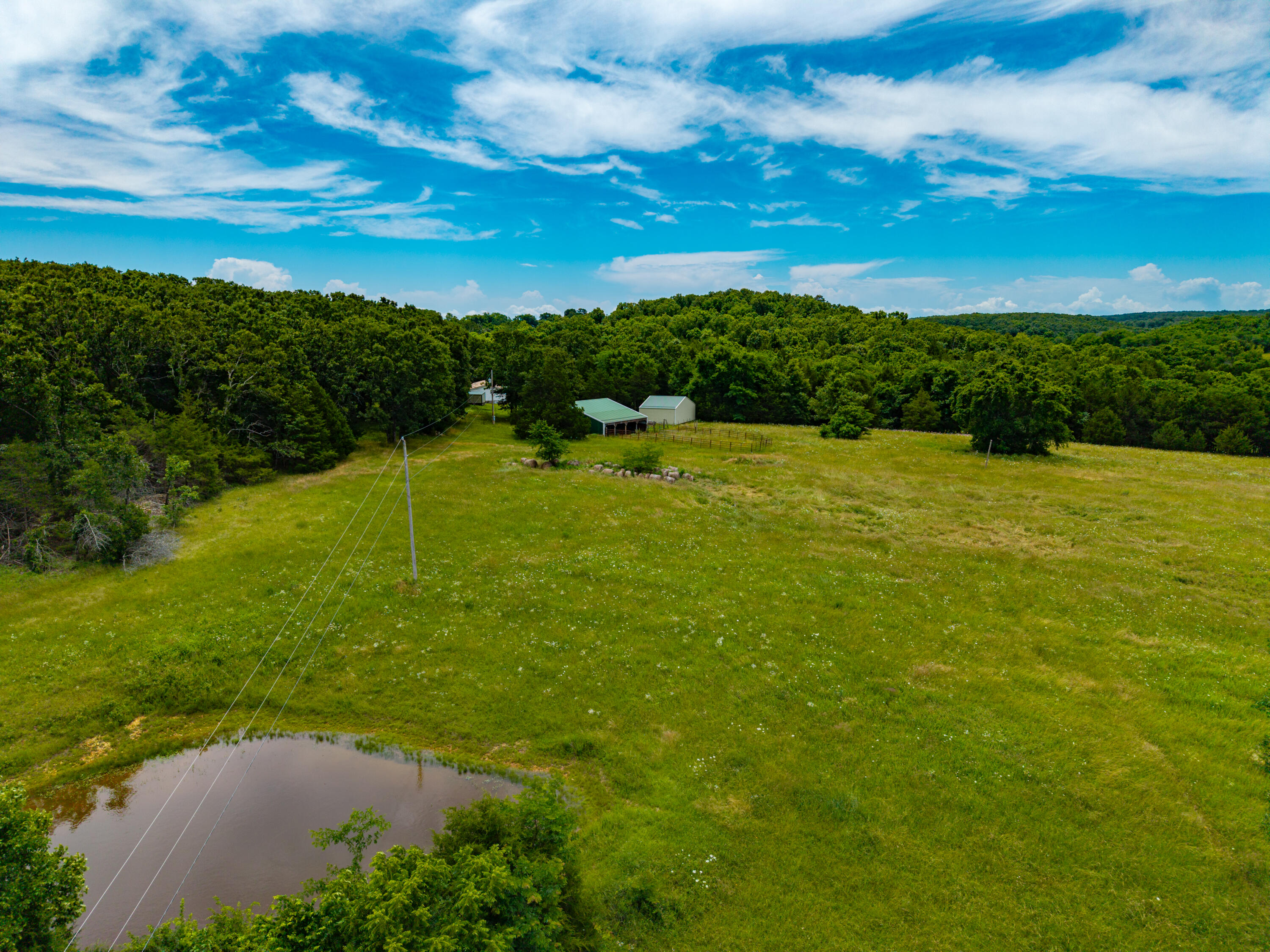 3675 Persimmon Road Property Photo 4