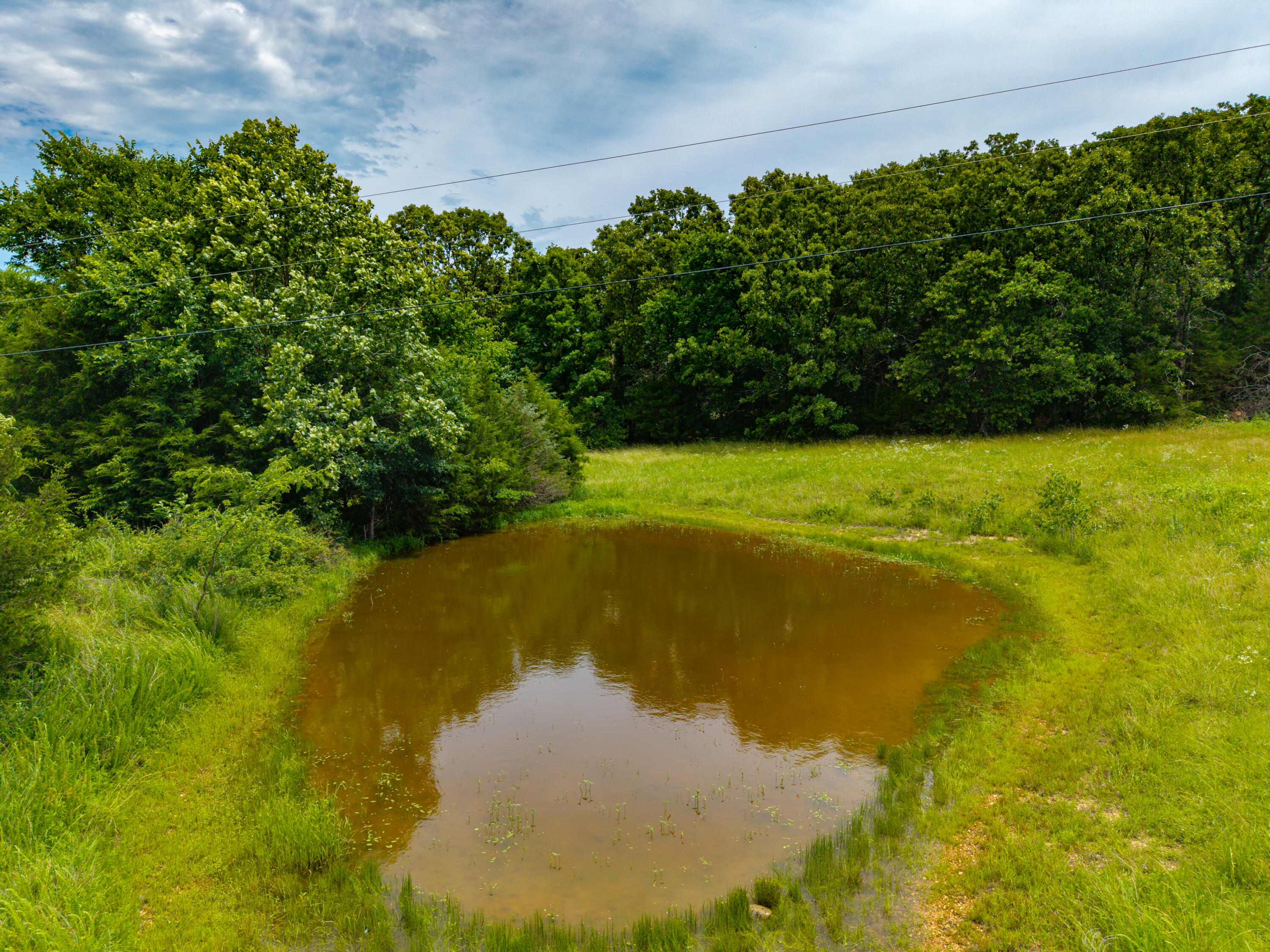3675 Persimmon Road Property Photo 5