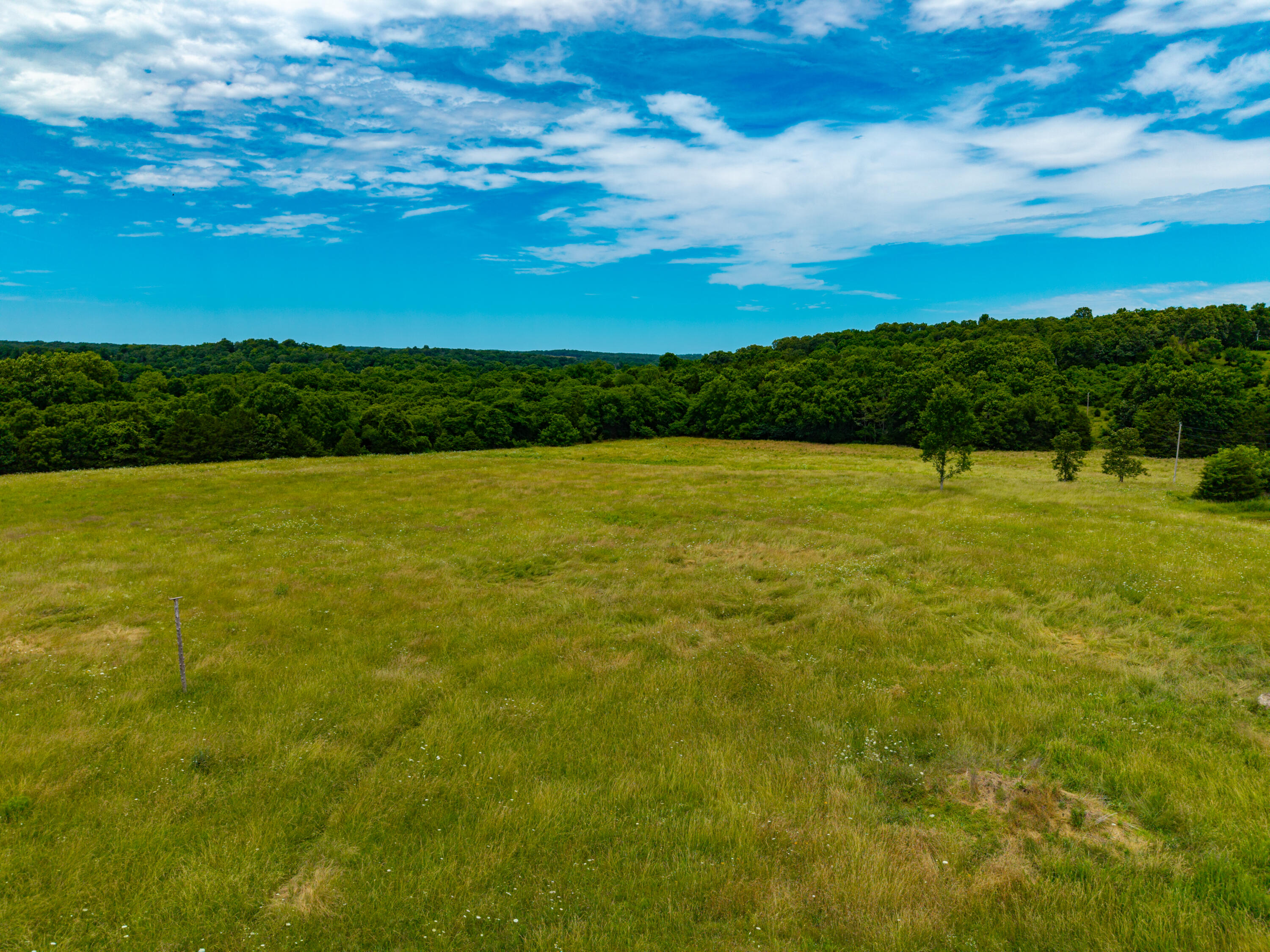 3675 Persimmon Road Property Photo 16
