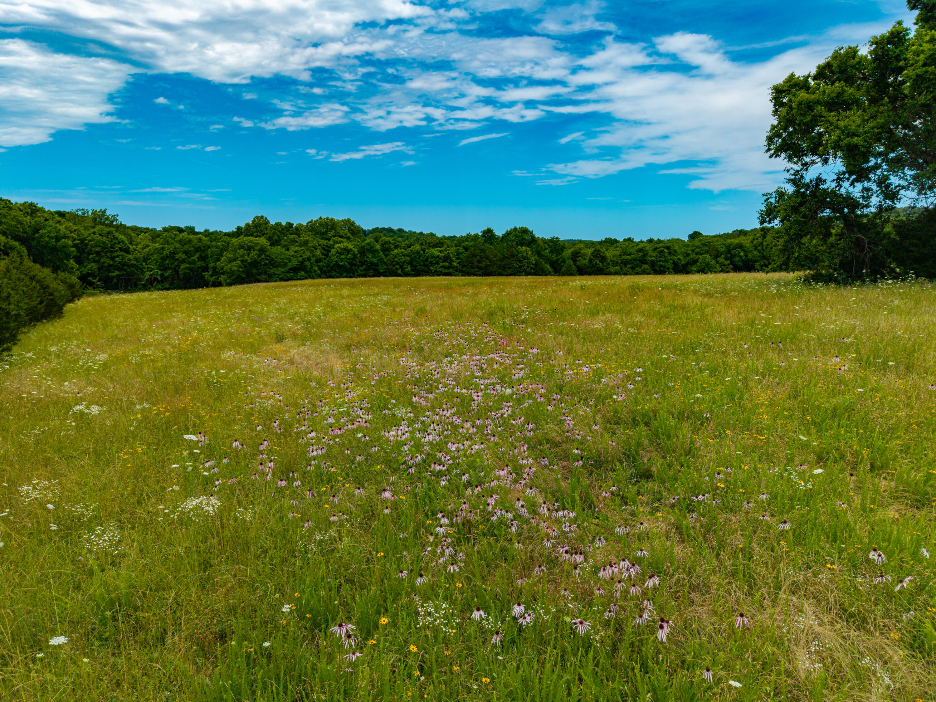 3675 Persimmon Road Property Photo 18
