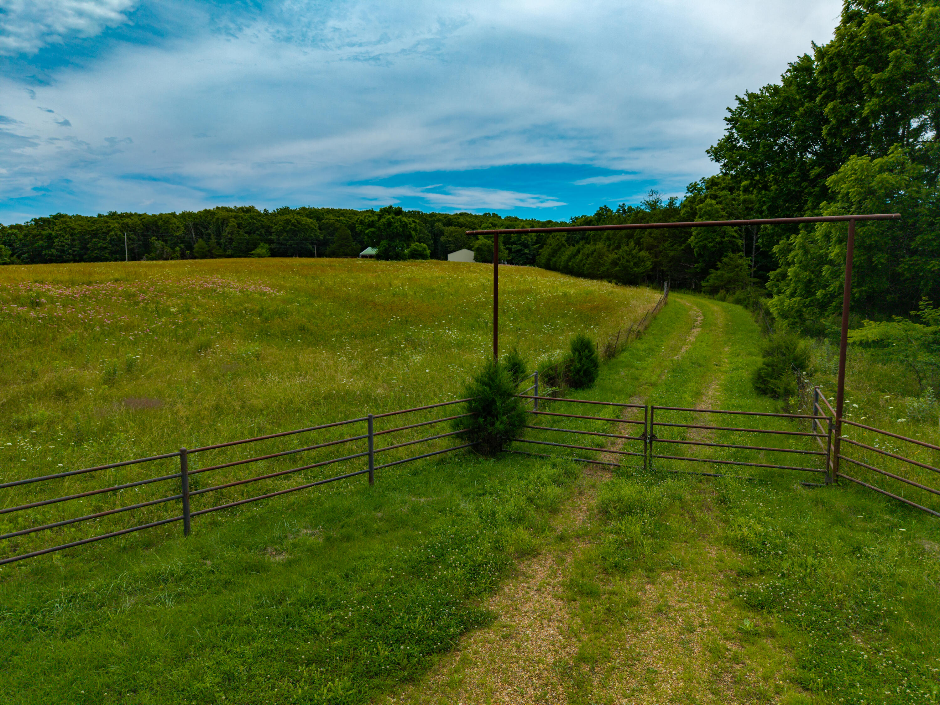 3675 Persimmon Road Property Photo 19