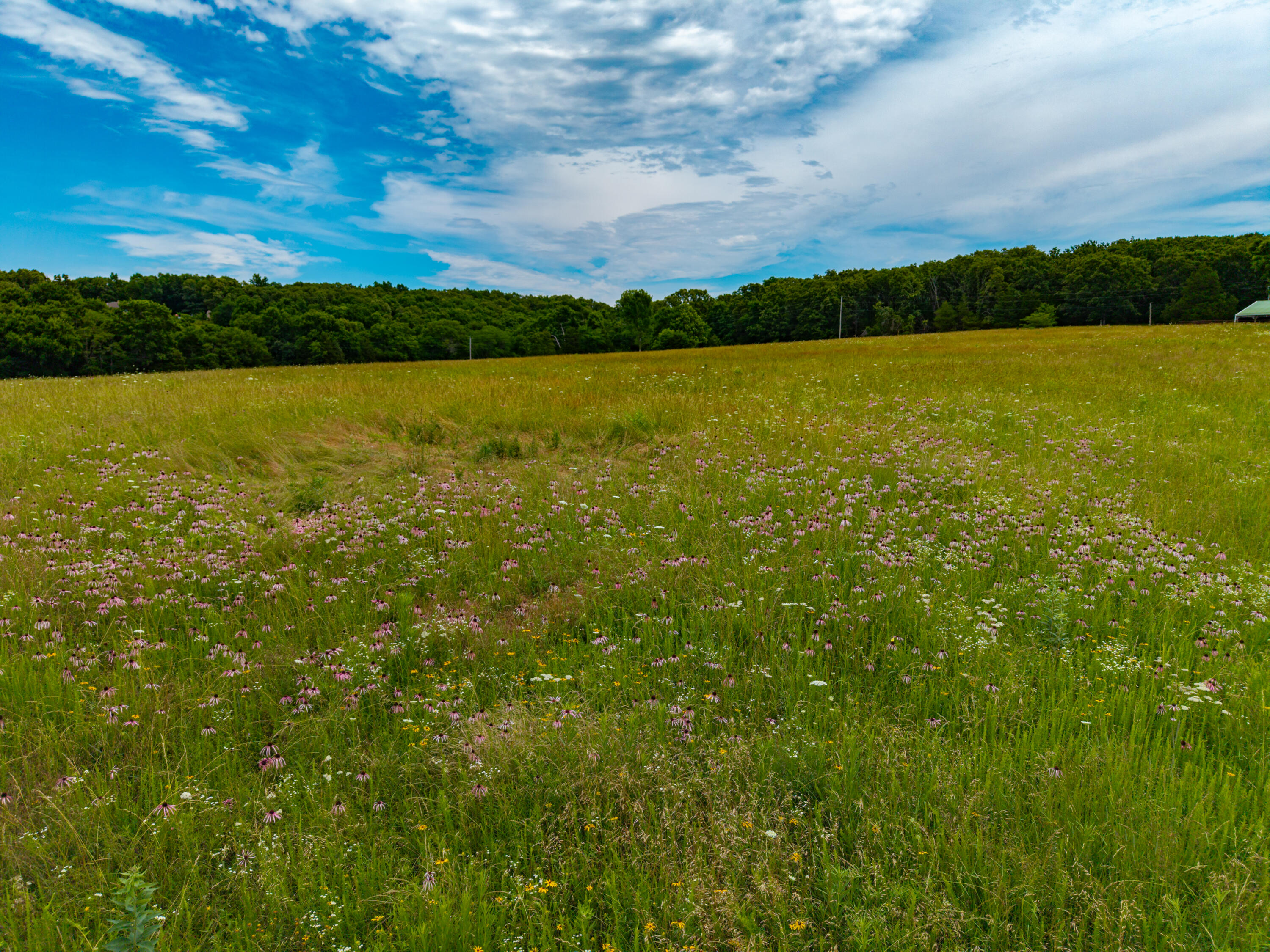 3675 Persimmon Road Property Photo 20