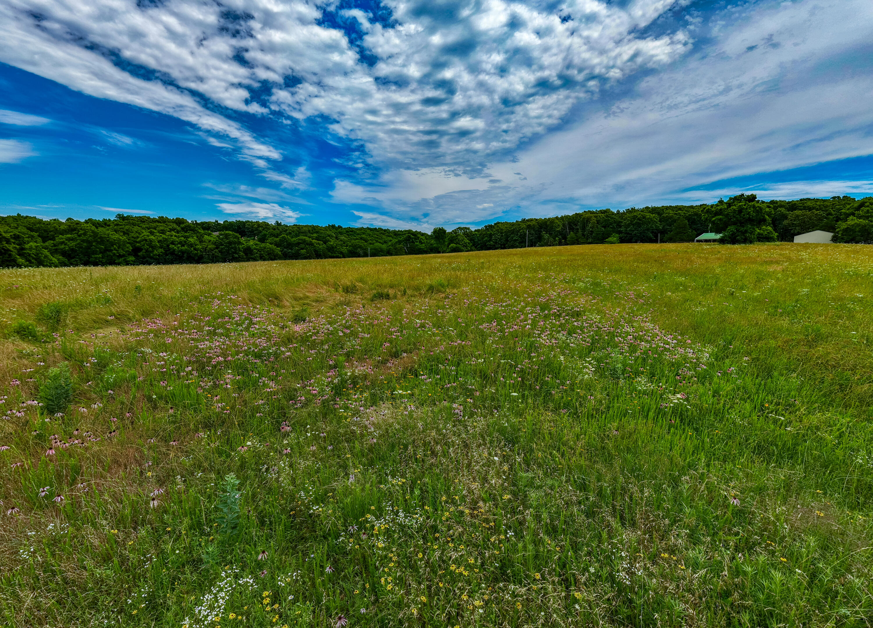 3675 Persimmon Road Property Photo 21