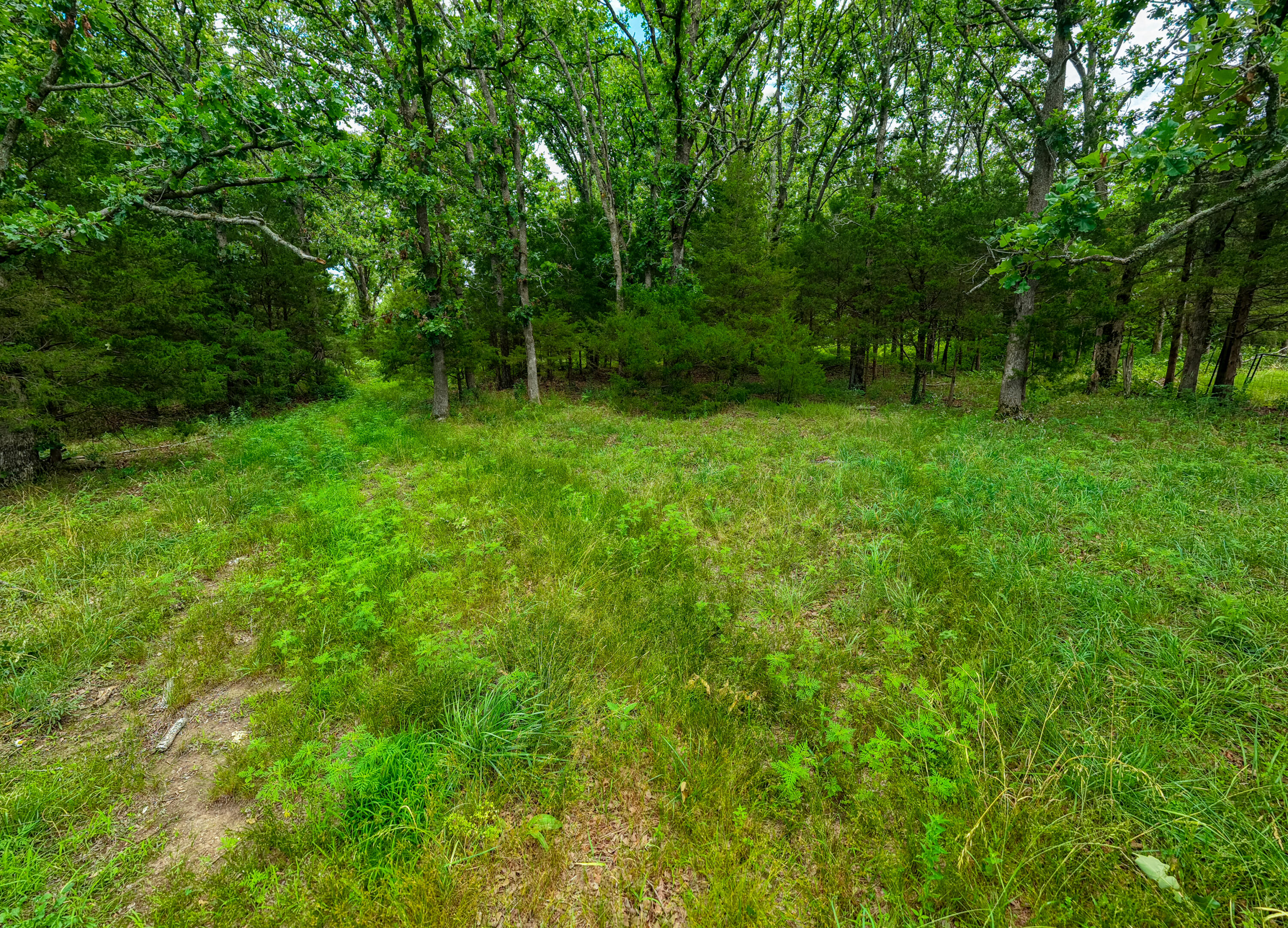 3675 Persimmon Road Property Photo 37