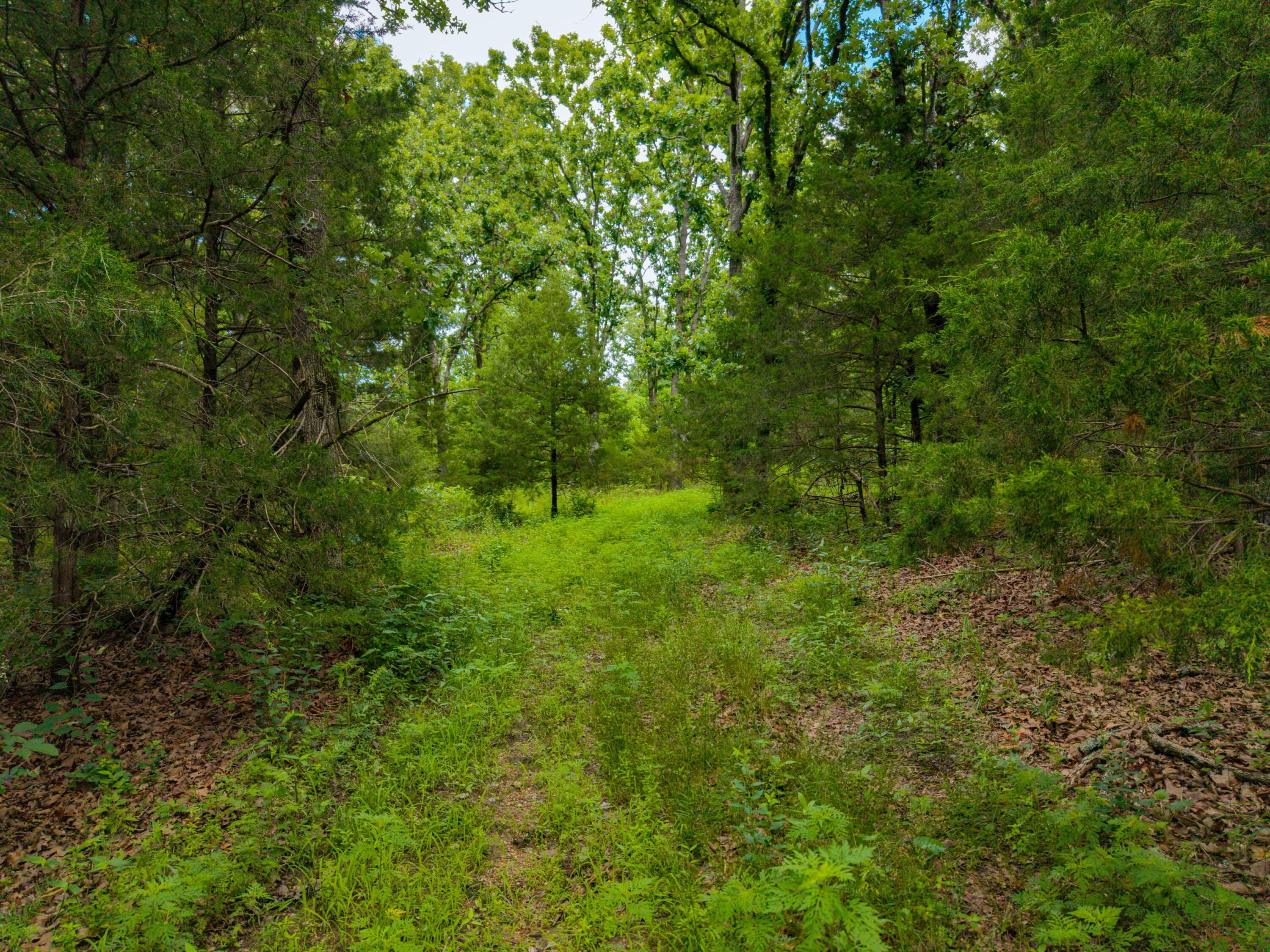 3675 Persimmon Road Property Photo 38