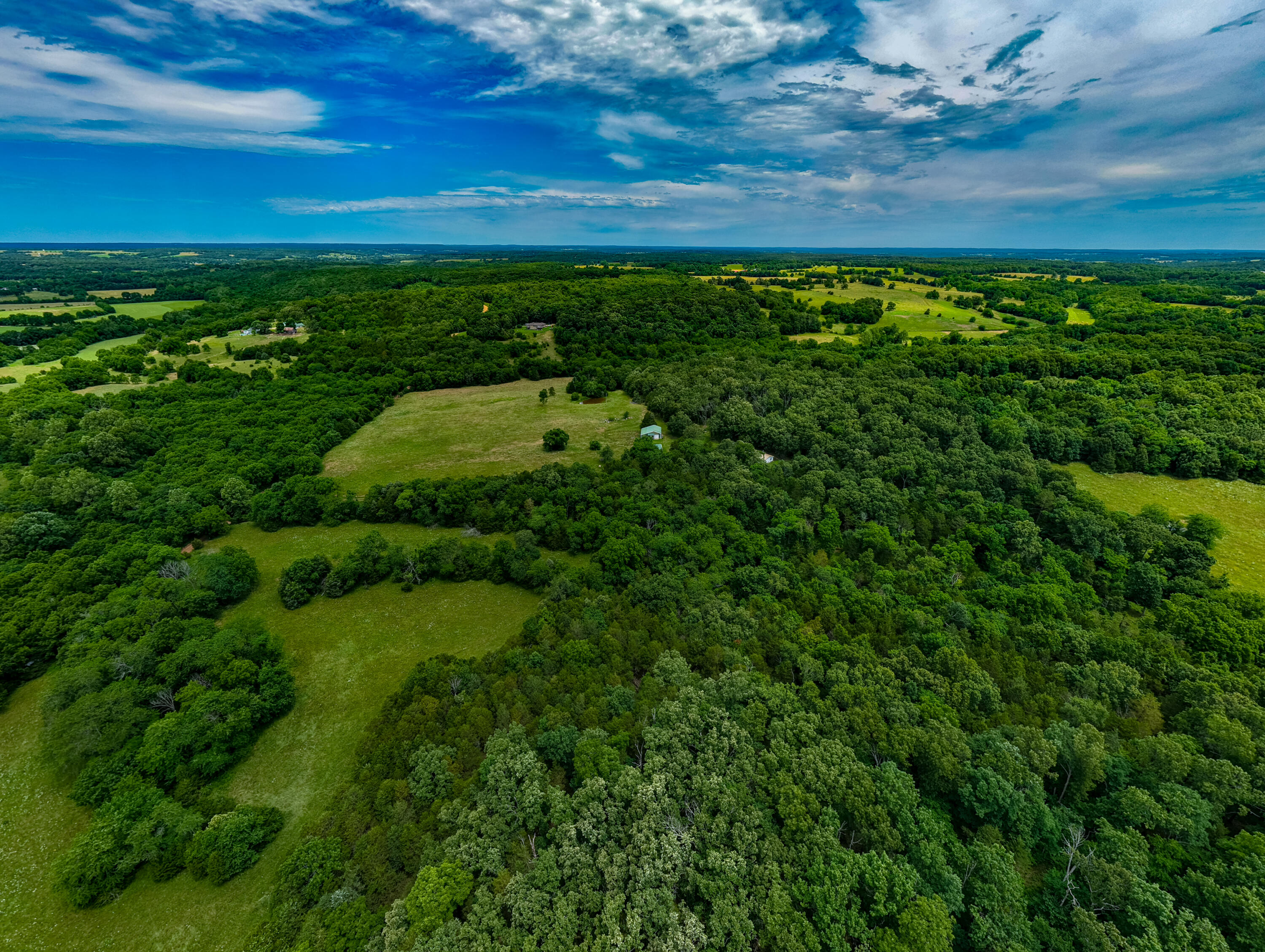 3675 Persimmon Road Property Photo 41