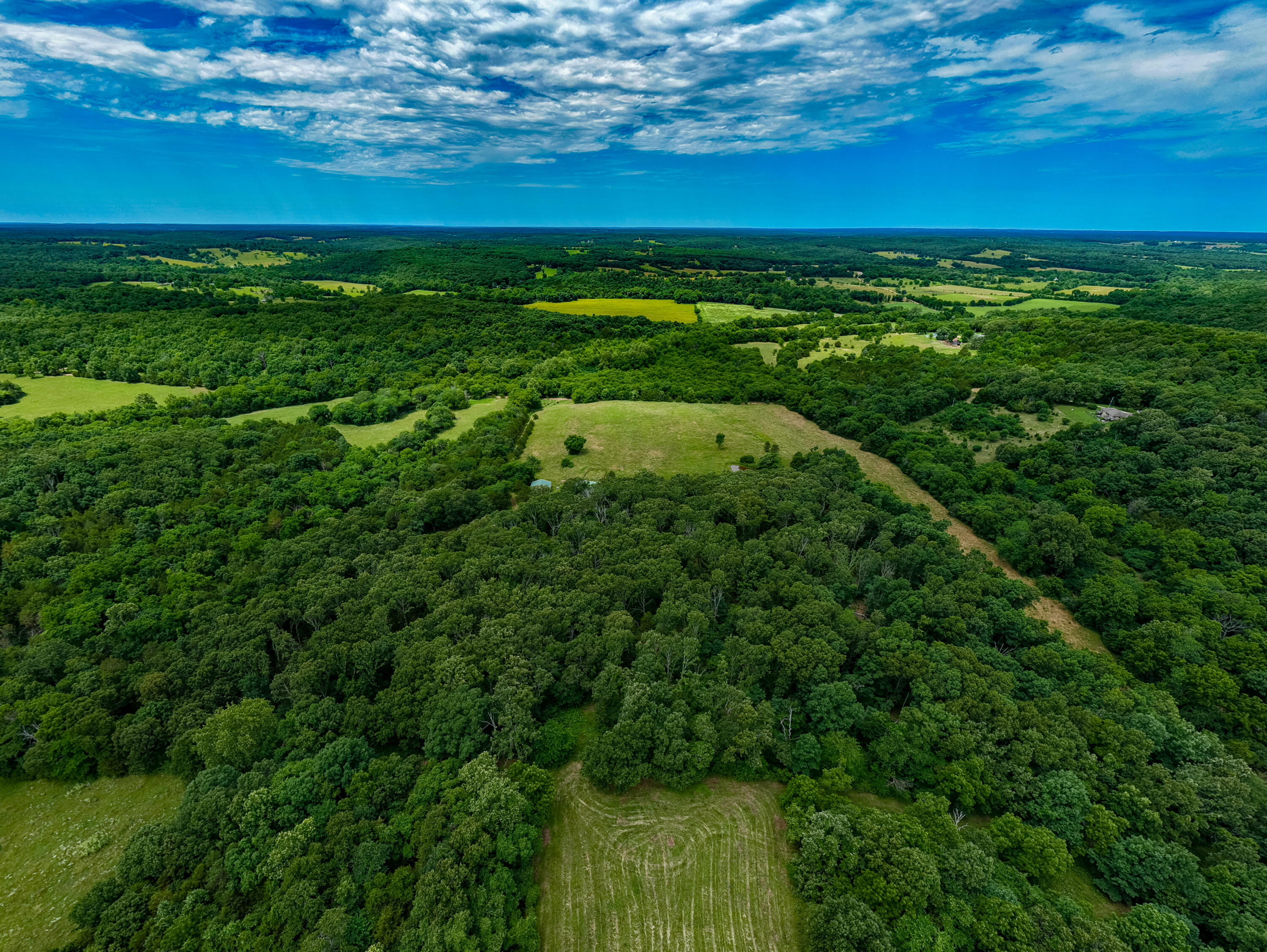 3675 Persimmon Road Property Photo 42