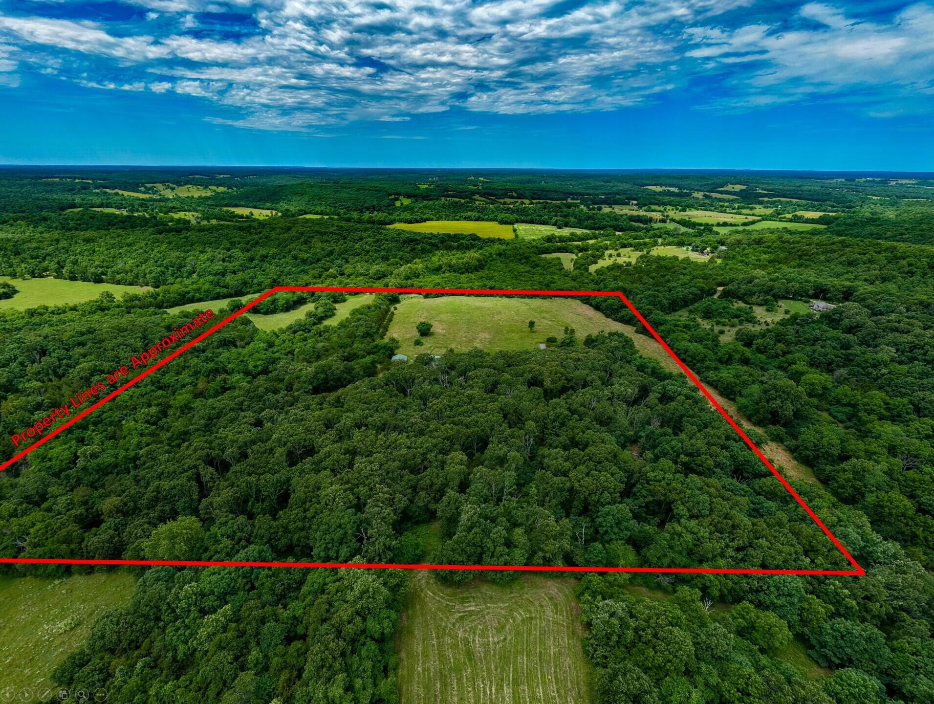 3675 Persimmon Road Property Photo 43
