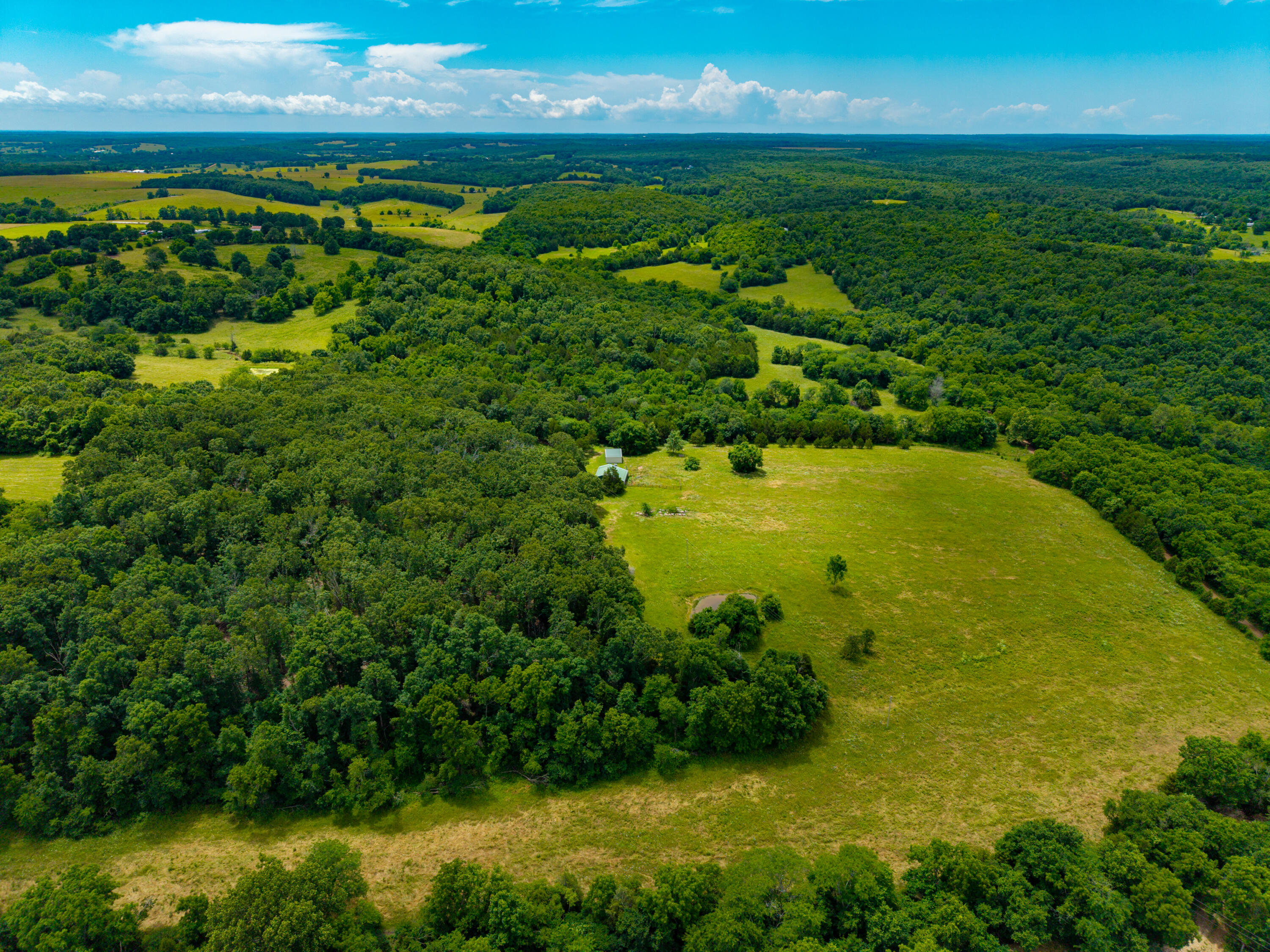 3675 Persimmon Road Property Photo 45