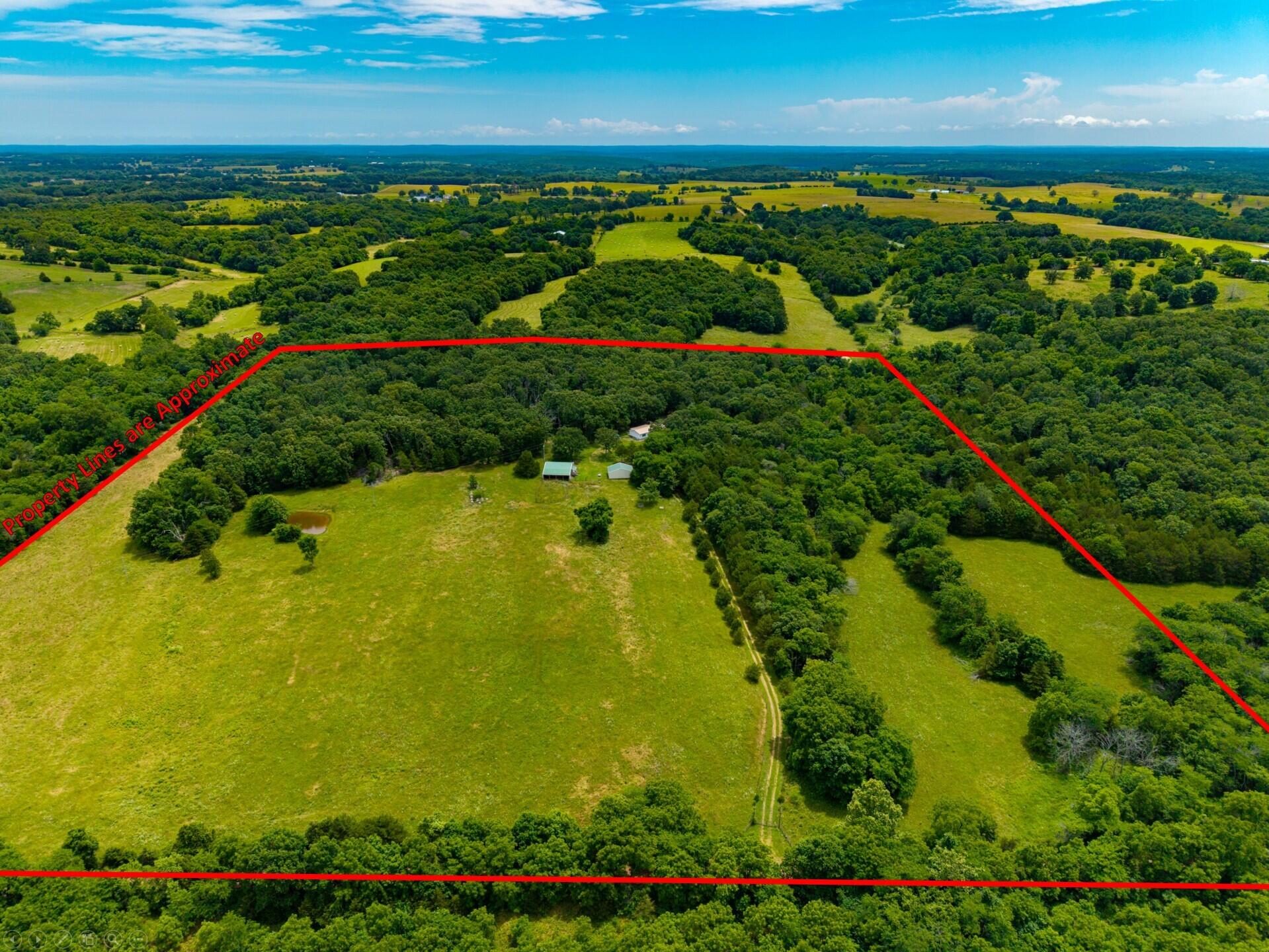 3675 Persimmon Road Property Photo 47