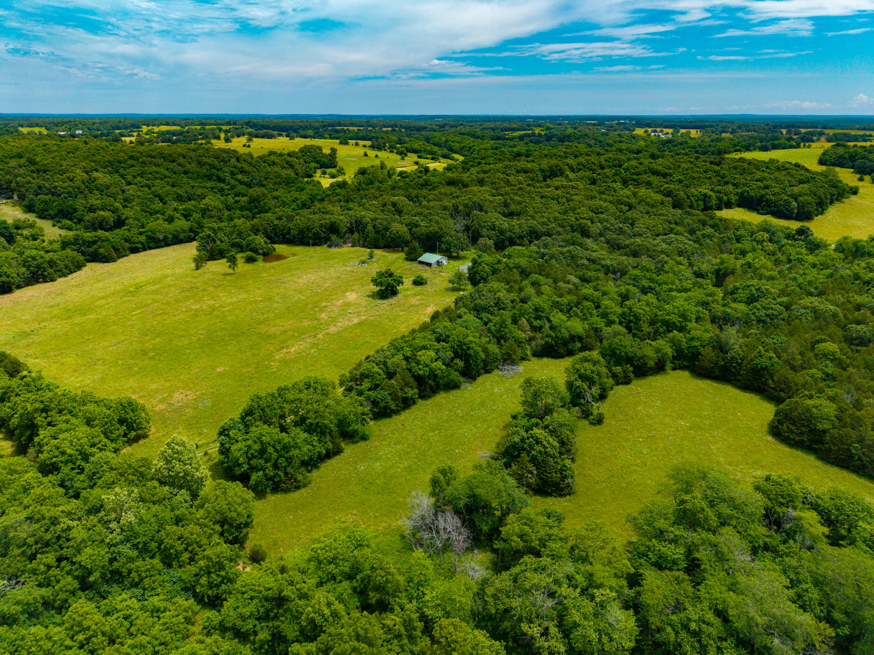 3675 Persimmon Road Property Photo 48