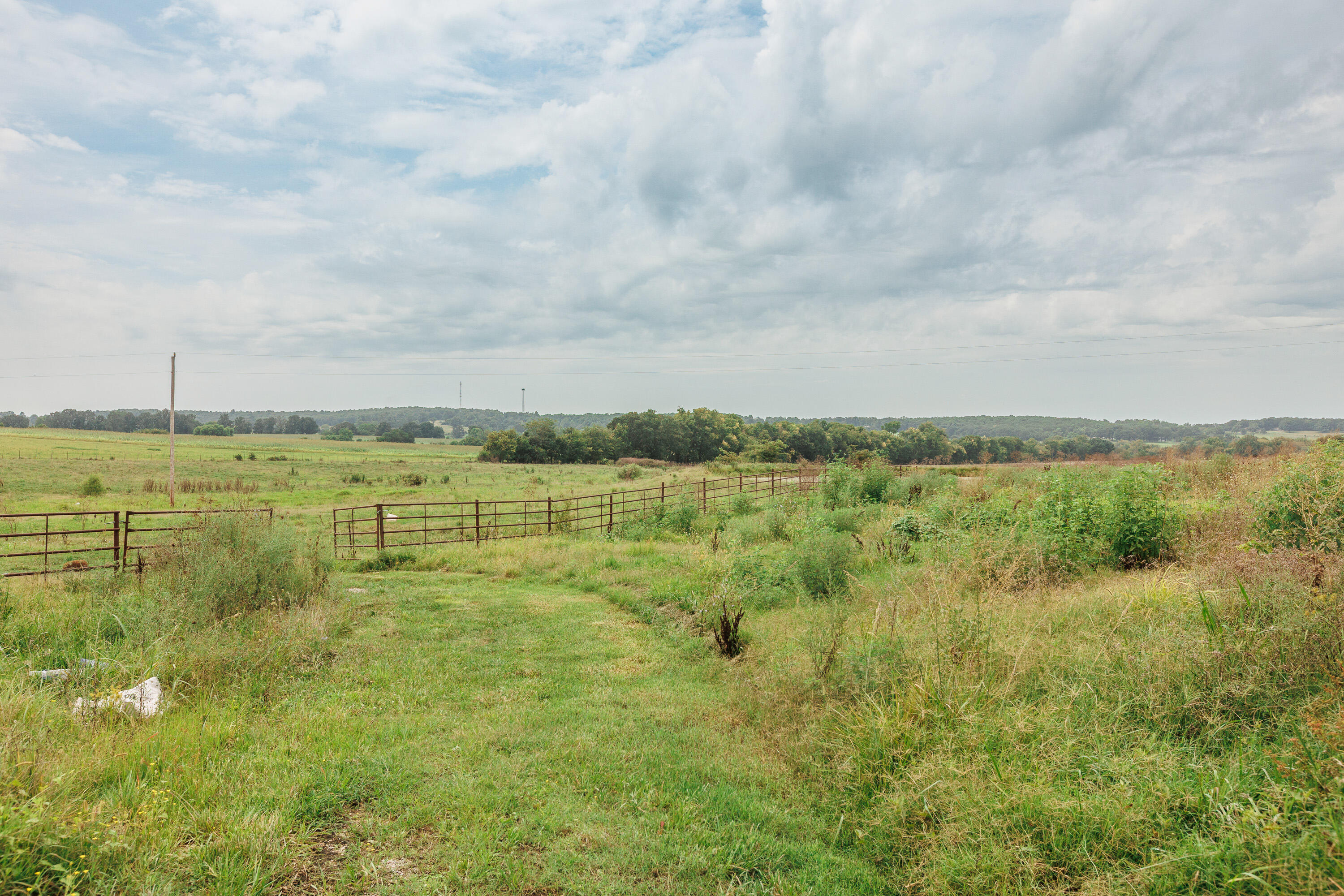 1944 Sampson Road Property Photo 53