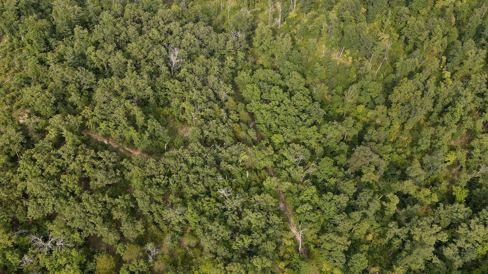 Lot 13 Lookout Point Property Photo 4