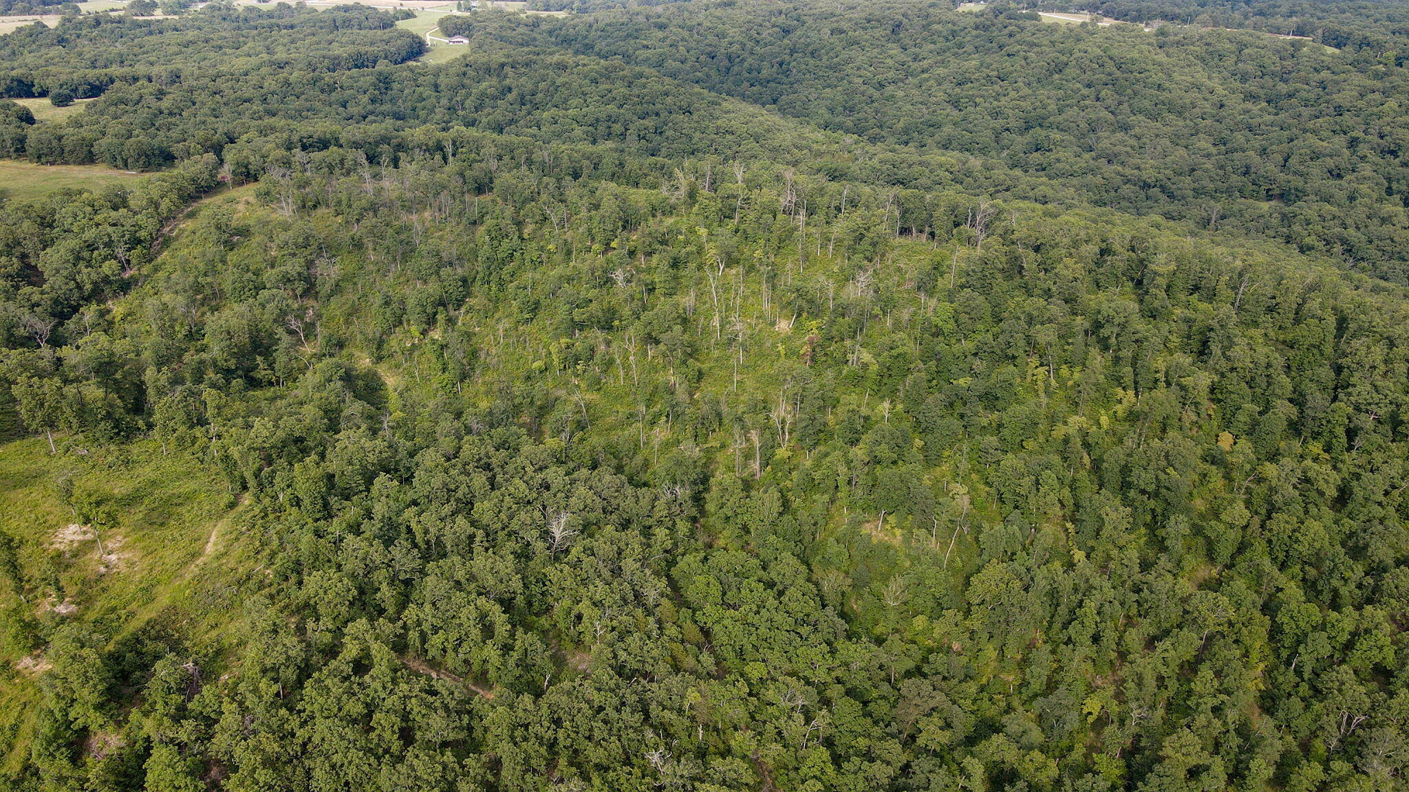 Lot 13 Lookout Point Property Photo 5