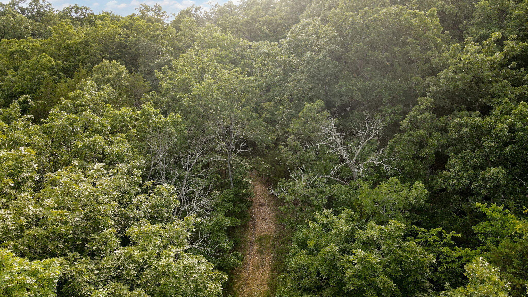 Lot 13 Lookout Point Property Photo 12