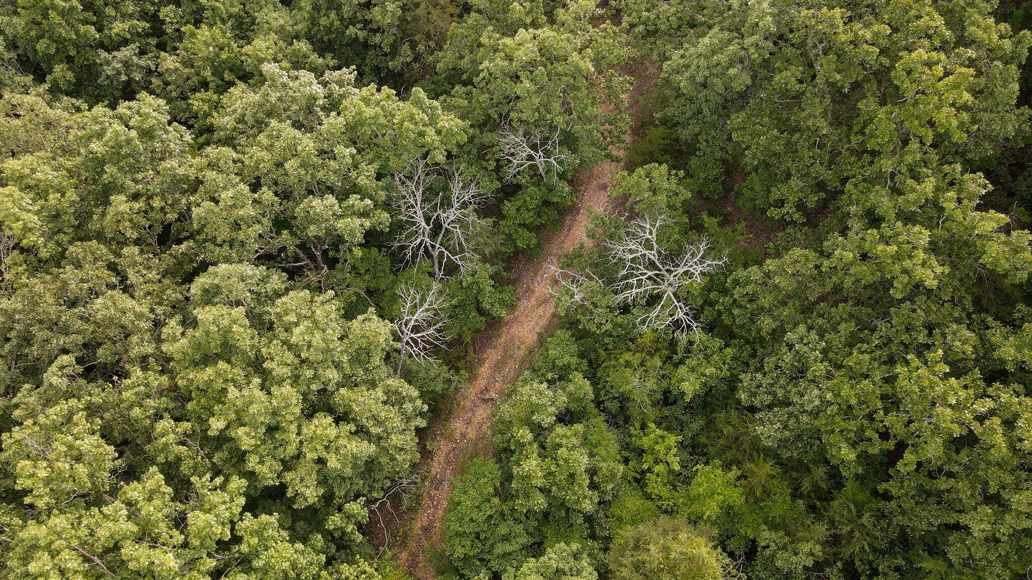 Lot 13 Lookout Point Property Photo 13