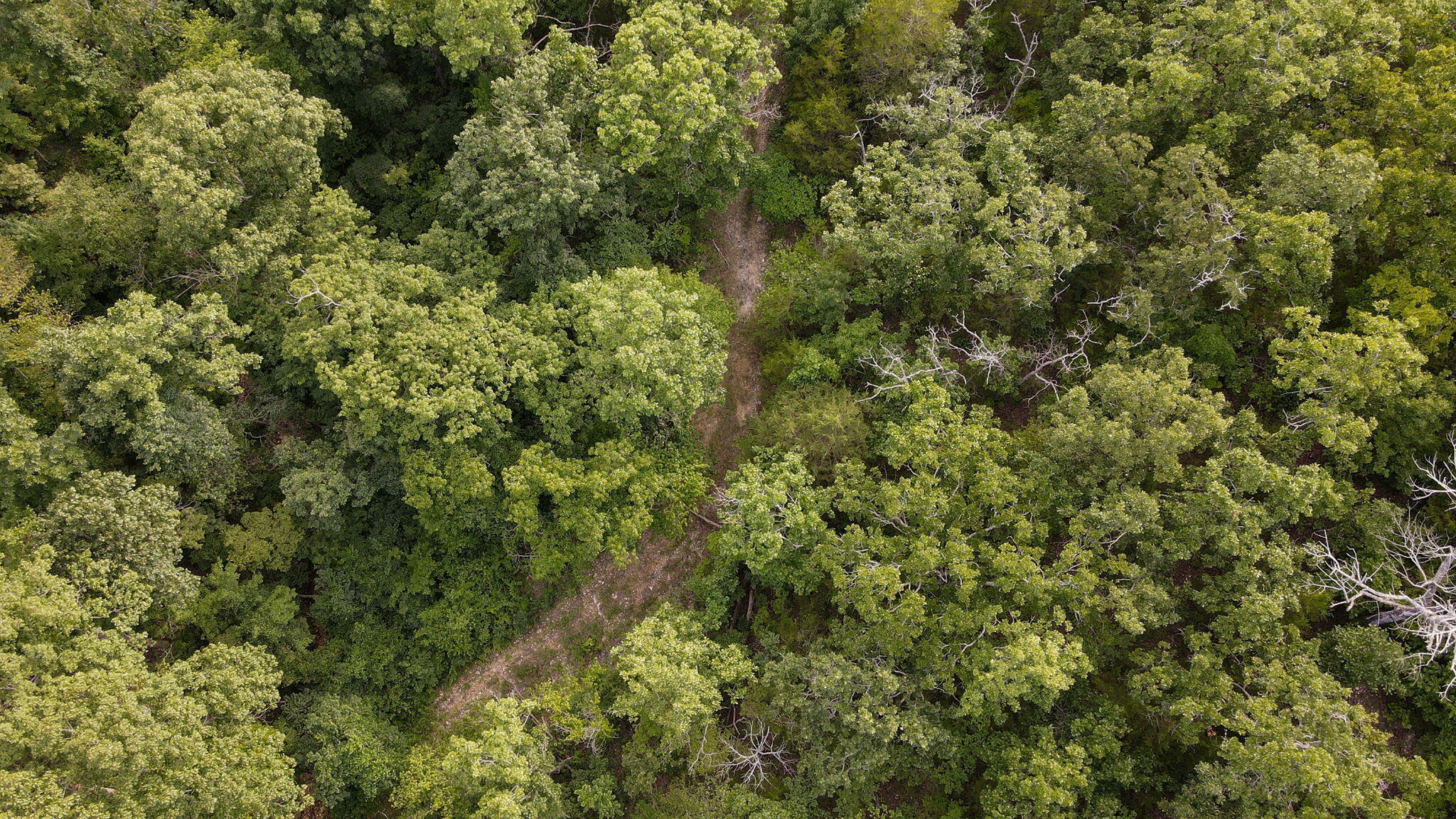 Lot 13 Lookout Point Property Photo 14