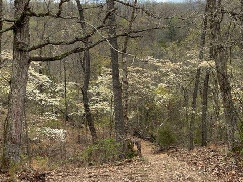 Lot 13 Lookout Point Property Photo 16
