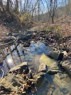 Lot 13 Lookout Point Property Photo 17