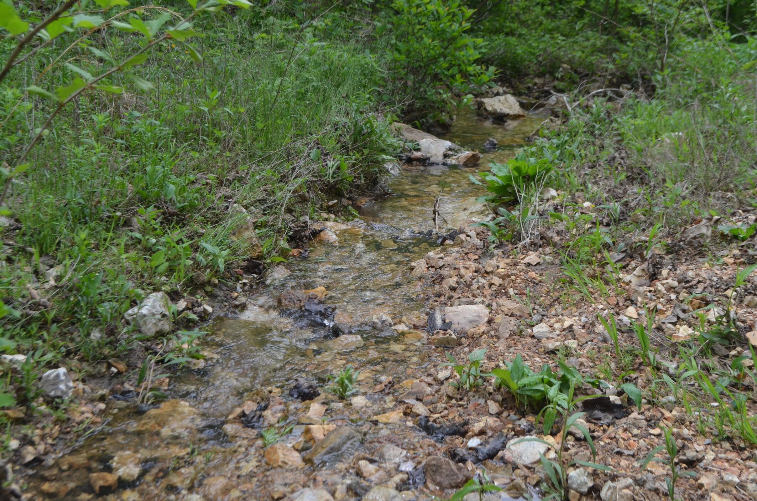 Lot 13 Lookout Point Property Photo 19