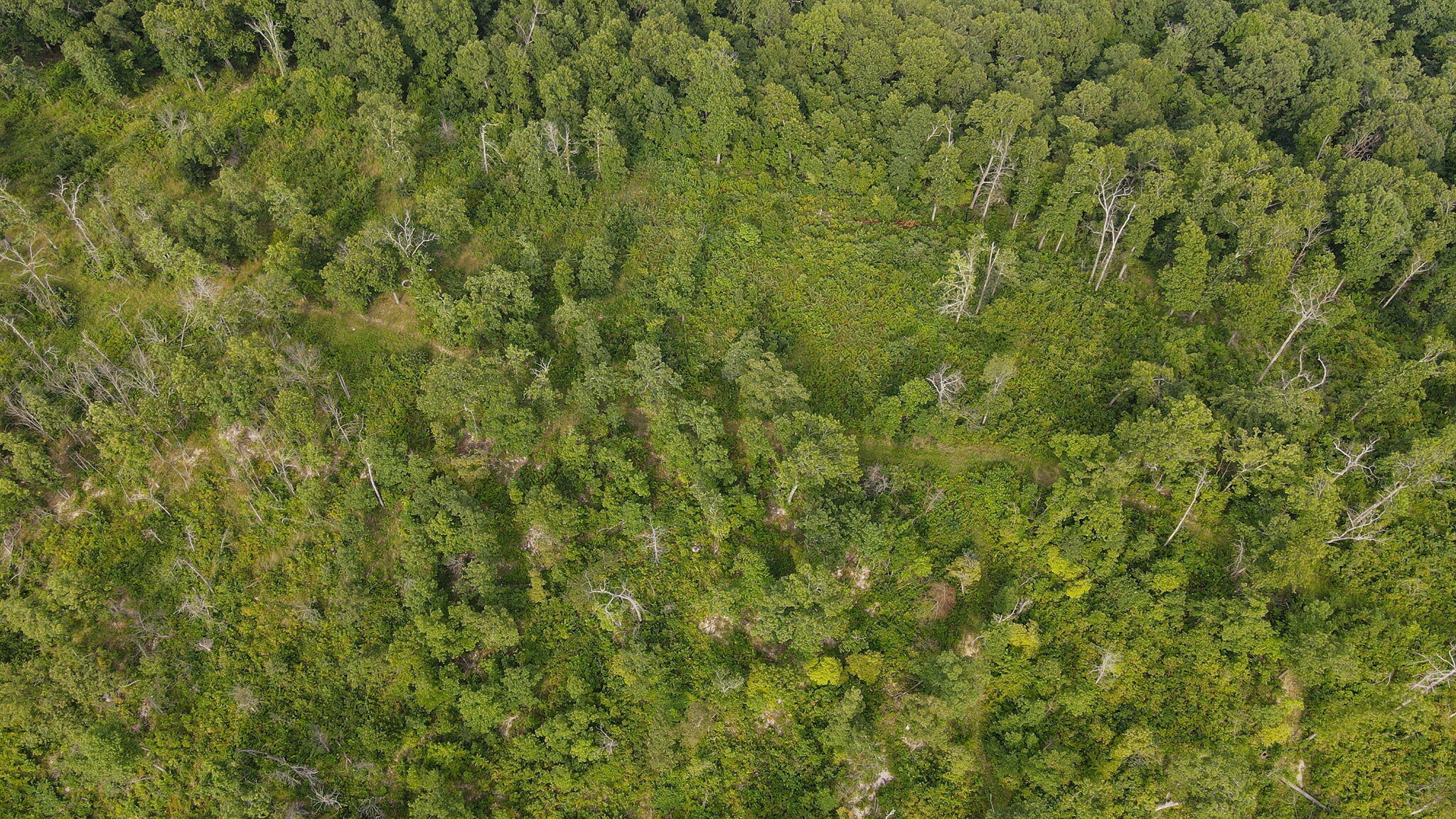 Lot 13 Lookout Point Property Photo 21