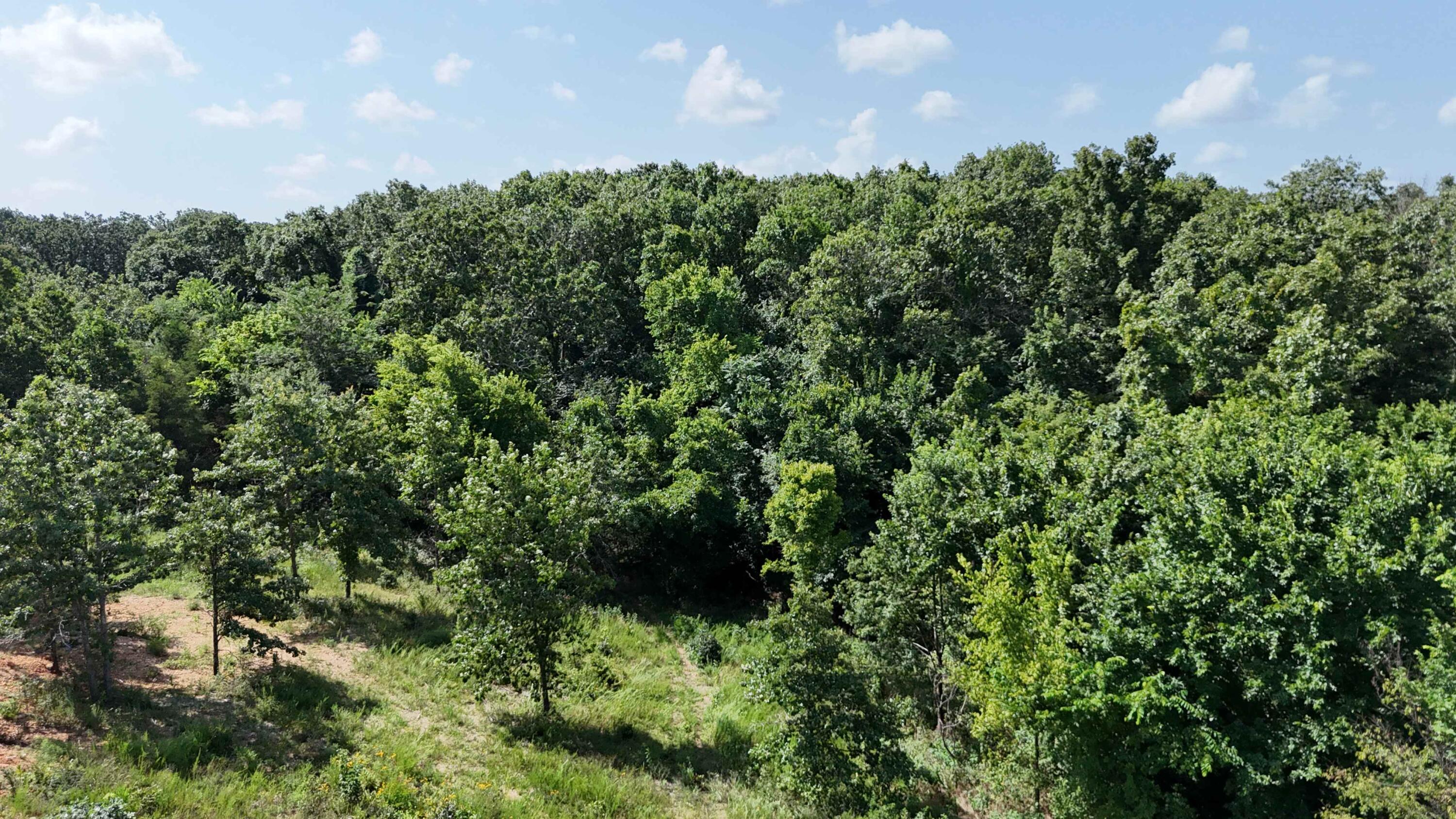32249 State Highway 86 Property Photo 8