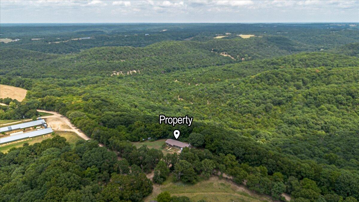 26480 Farm Road 1000 Property Photo 38