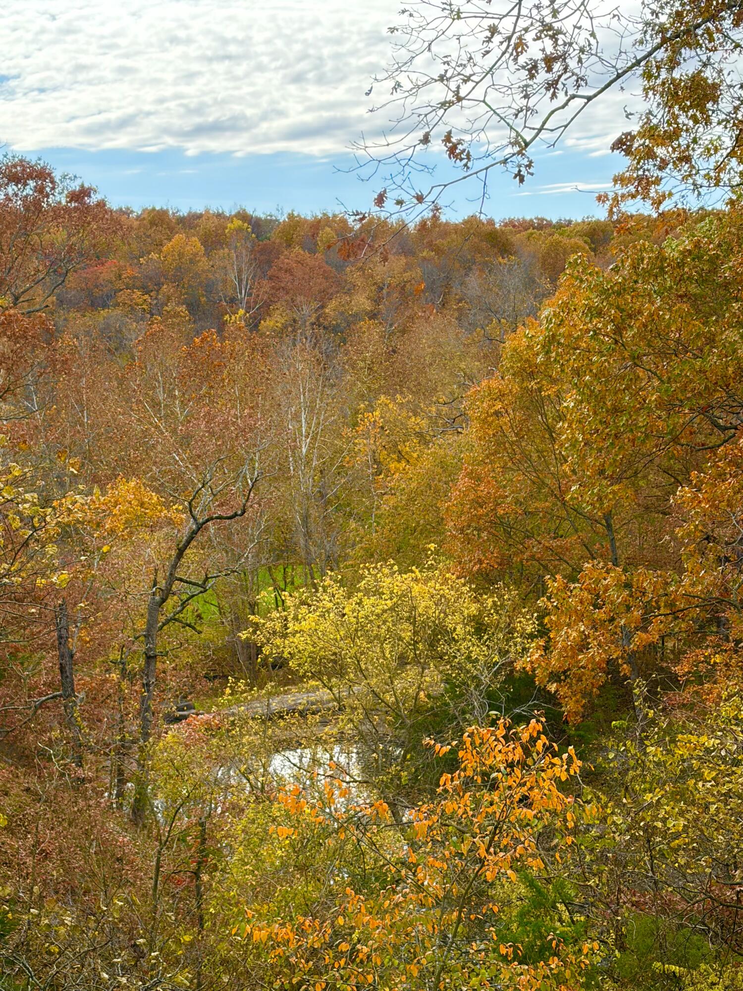 10613 And 10633 Poppy Drive Property Photo 60
