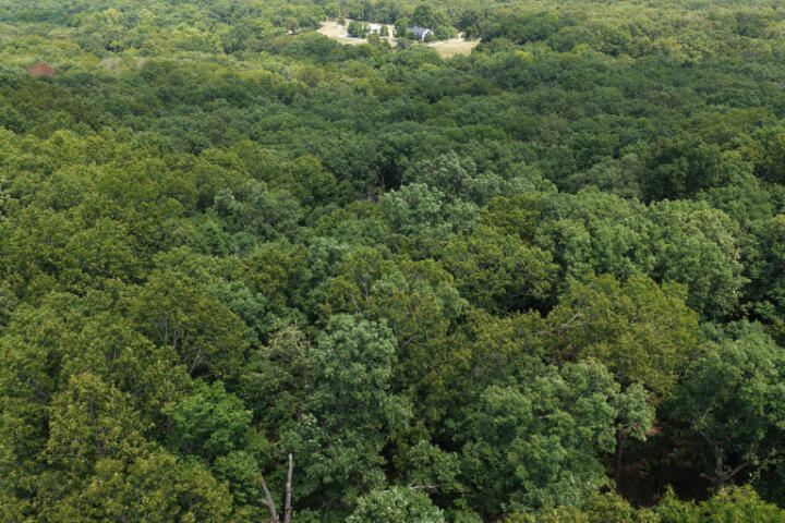 000 Highway 5 Property Photo 1