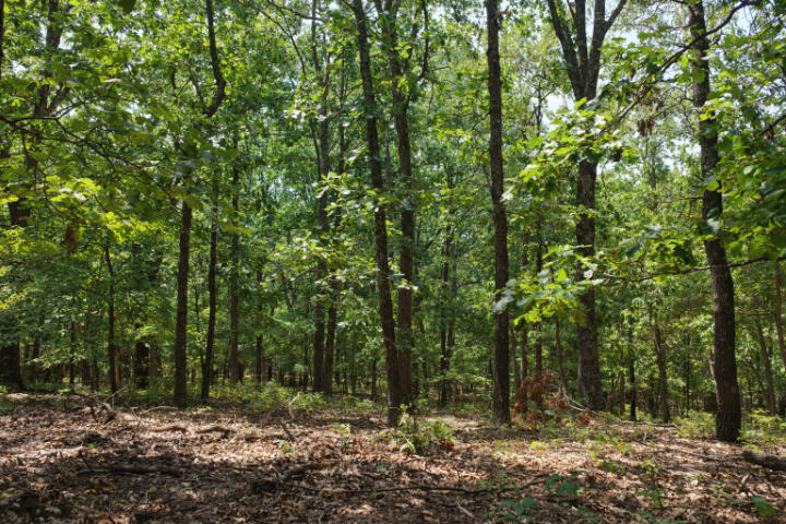 000 Highway 5 Property Photo 6