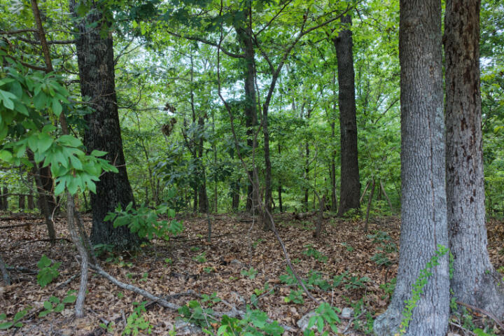 000 Highway 5 Property Photo 6