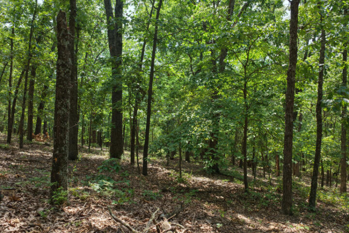 000 Highway 5 Property Photo 15