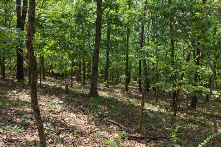 000 Highway 5 Property Photo 16