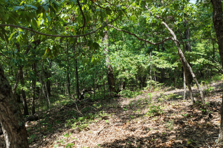 000 Highway 5 Property Photo 17