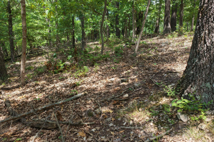 000 Highway 5 Property Photo 18