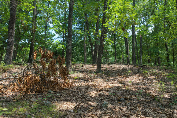000 Highway 5 Property Photo 19