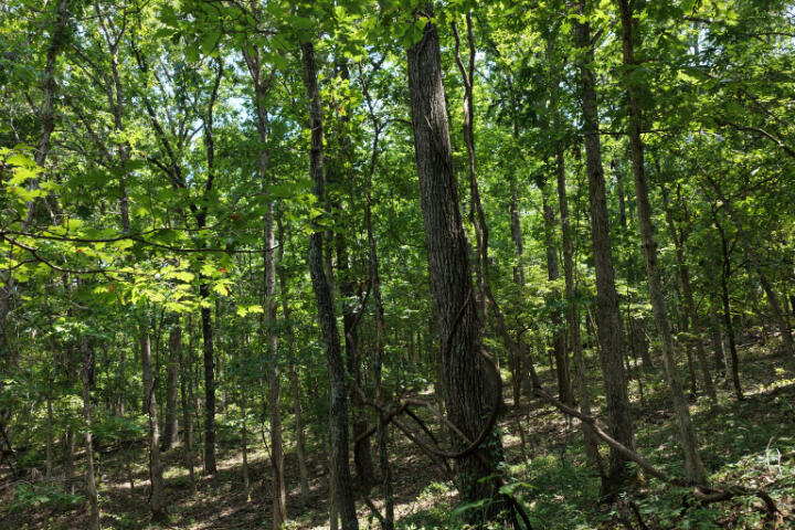 000 Highway 5 Property Photo 22