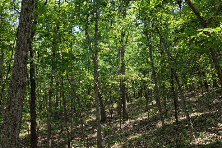 000 Highway 5 Property Photo 23