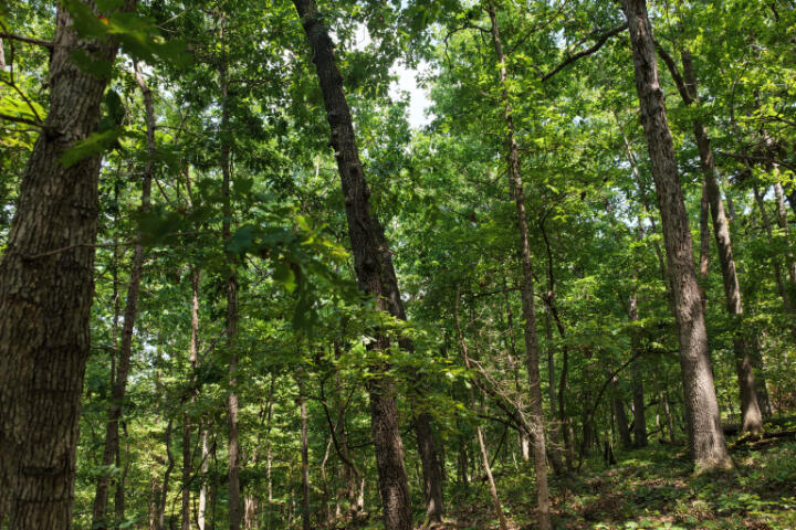000 Highway 5 Property Photo 25