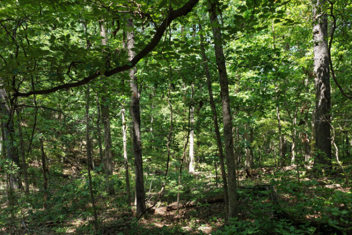 000 Highway 5 Property Photo 26