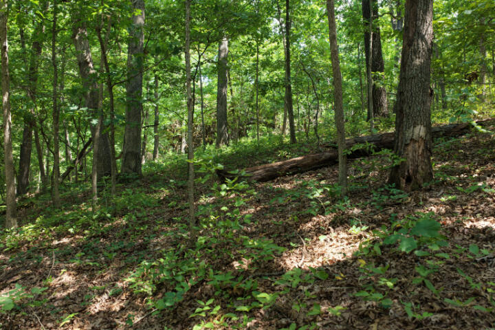 000 Highway 5 Property Photo 27