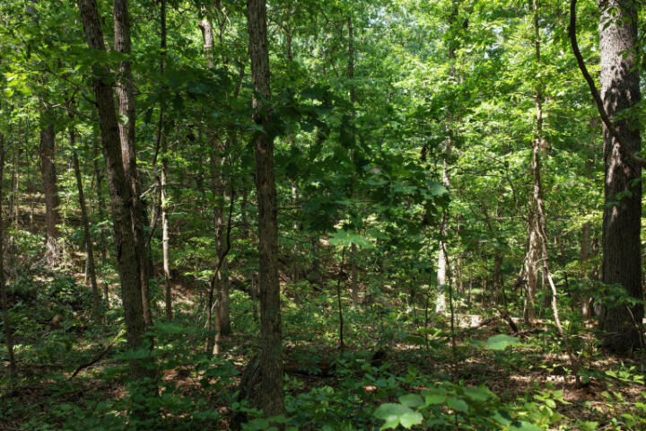 000 Highway 5 Property Photo 29